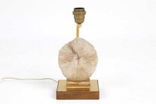 Lampe Corail Fungia Fungites Et Laiton Doré, Années 1970 - Ls382481