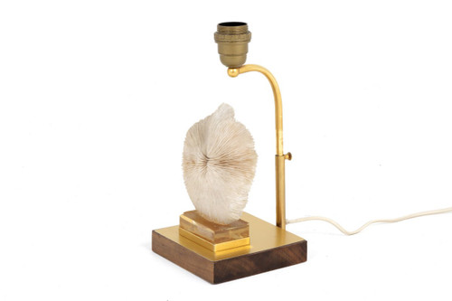 Lampe Corail Fungia Fungites Et Laiton Doré, Années 1970 - Ls382481