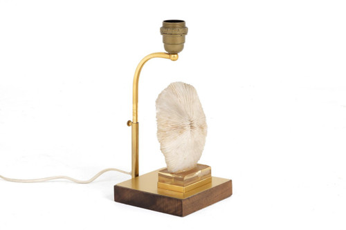 Lampe Corail Fungia Fungites Et Laiton Doré, Années 1970 - Ls382481