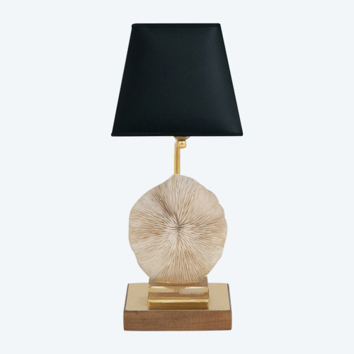 Lampe Corail Fungia Fungites Et Laiton Doré, Années 1970 - Ls382481