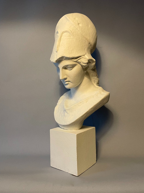 Bust of Athena in plaster called "Pallas de Velletri" H 55cm (Minerva)
