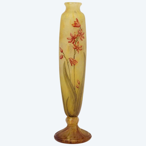 Vase Piedouche Pâte de Verre Daum Nancy Fleurs Lys Lis Art Nouveau 19th century