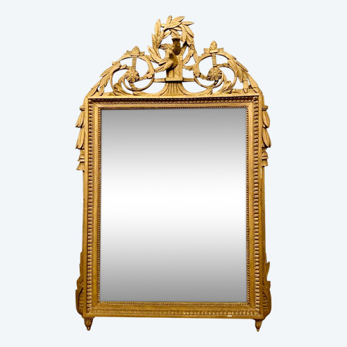 Miroir De Style Louis XVI En Bois Et Stuc Doré XIX Siècle