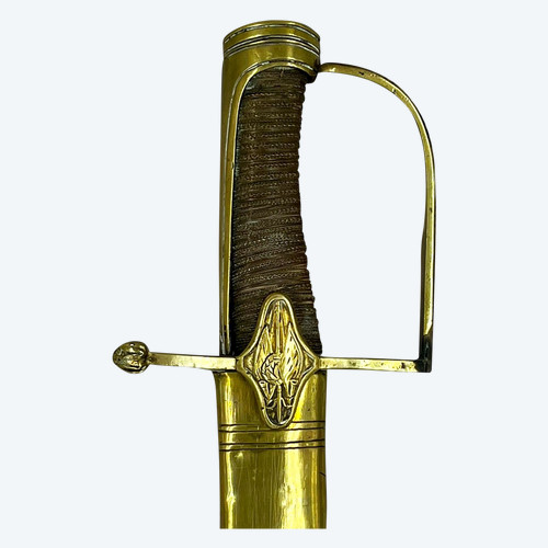 HORSE HUNTERS' OFFICER'S SABRE - France - XIXth century