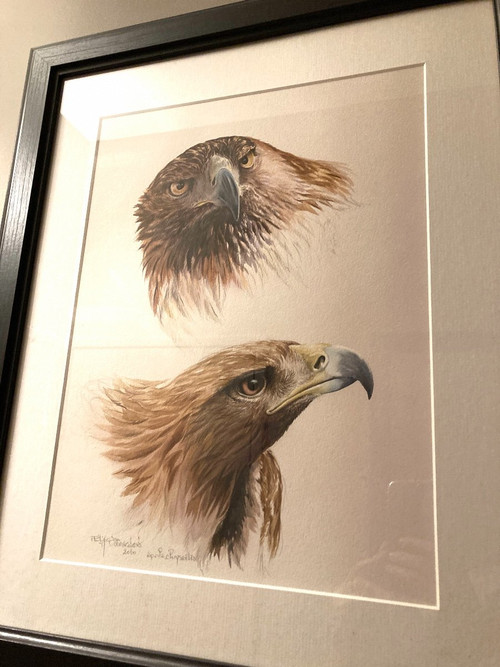 Aquarelle à deux têtes d'aigles royals signées Philippe Varnardois