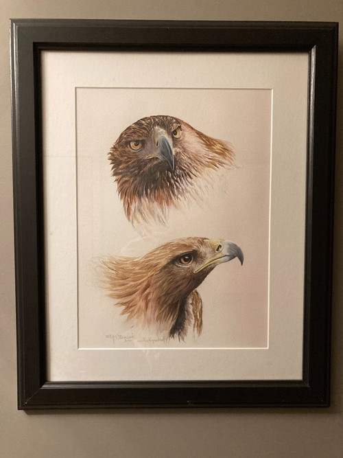 Aquarelle à deux têtes d'aigles royals signées Philippe Varnardois