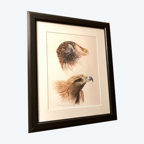 Aquarelle à deux têtes d'aigles royals signées Philippe Varnardois