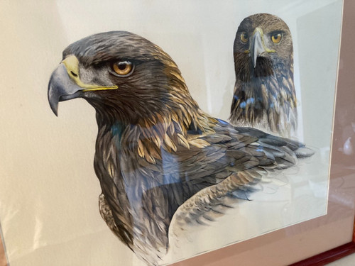Aquarelle à Deux Têtes d'Aigles Royals Signées Philippe Varnardois