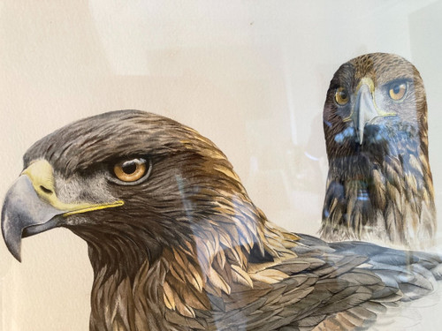 Aquarelle à Deux Têtes d'Aigles Royals Signées Philippe Varnardois