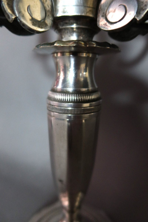 Pair Of Silver Metal Post And Lights
