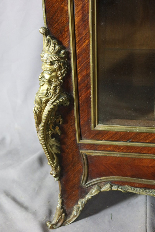 Bibliothèque Vitrine XIXe siècle