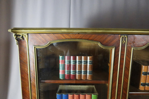 Bibliothèque Vitrine XIXe siècle