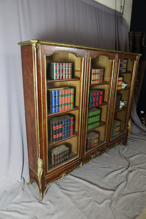 Bibliothèque Vitrine XIXe siècle