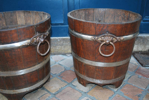 Coppia Di Casse Con Alberi Di Aranci, Inghilterra XIX