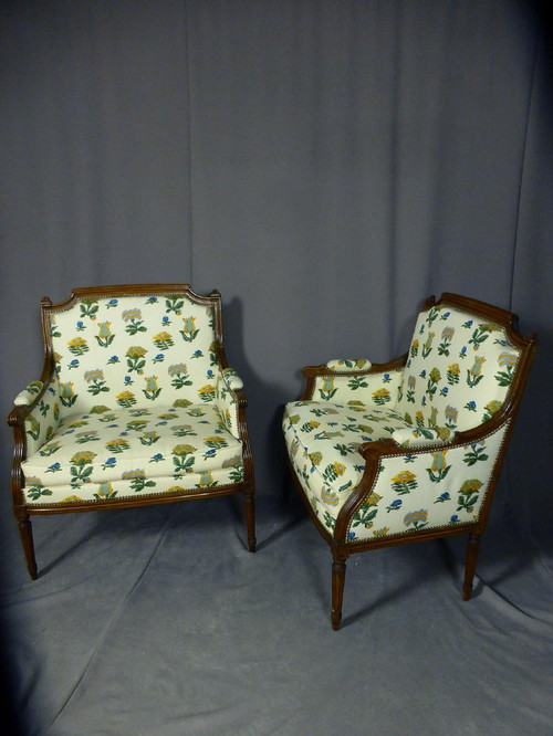 Coppia di Poltrone Marchesa Fine XIX Secolo
