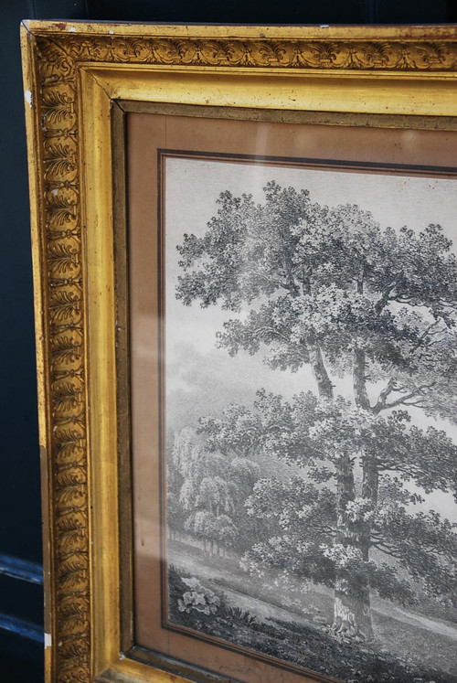 Grande Disegno Paesaggio E Alberi Firmato Wartel, XIX Secolo Periodo Impero
