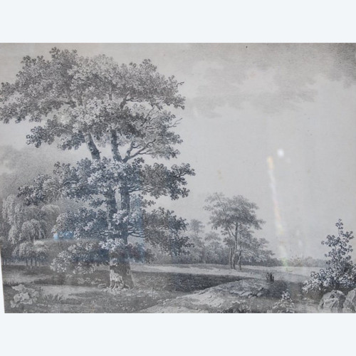 Grande Disegno Paesaggio E Alberi Firmato Wartel, XIX Secolo Periodo Impero