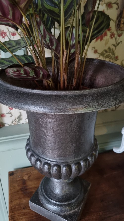 Medici Vase In Cast Iron From The 19th Century, Variant With Molded Neck.