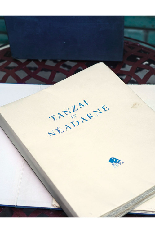 Curiosa : CRÉBILLON FILS, "TANZAÏ et NÉADARNÉ", illustrazione di Paul Émile BÉCAT