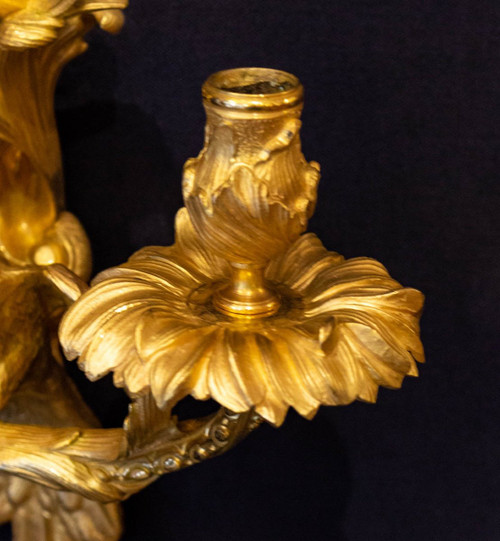 2 paia di applique a pappagallo Maison BAGUES a Parigi