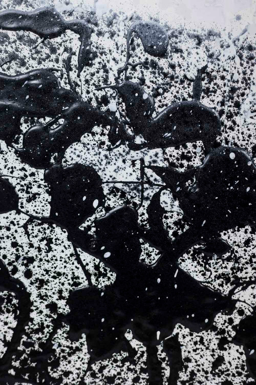 Dan Hôo, Acrylic on canvas “Dans la lumière de l’ombre”, 2022