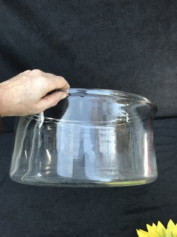 Very Large Vase Bowl Crystal Or Glass XIX Cabinet Of Curiosity