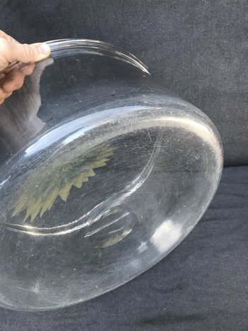 Very Large Vase Bowl Crystal Or Glass XIX Cabinet Of Curiosity