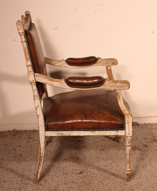 Fauteuil Louis XVI En Bois Polychrome