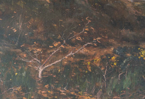 Paire De Tableaux Huile Sur Toile Avec Cadres En Bois Doré Fin XIXème Siècle
