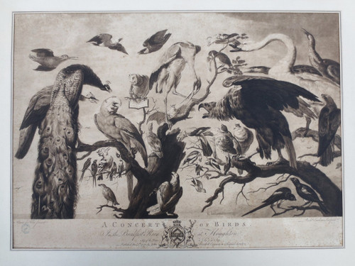 18th century engraving, “A Concert of Birds”.