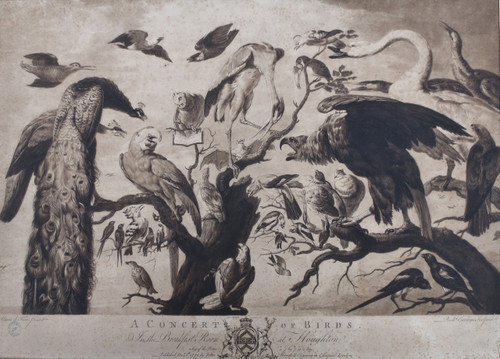 18th century engraving, “A Concert of Birds”.