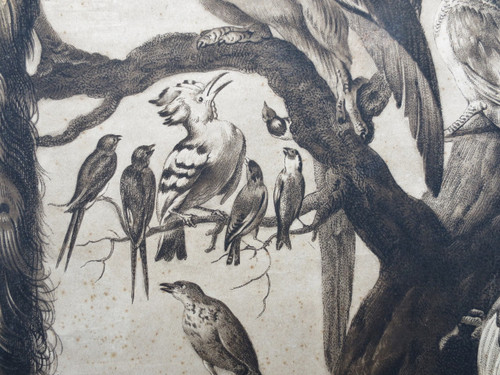 18th century engraving, “A Concert of Birds”.