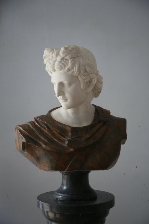 Important bust of Apollo in marble sculpted after the Apollo of Belvedere, Italy 20th century