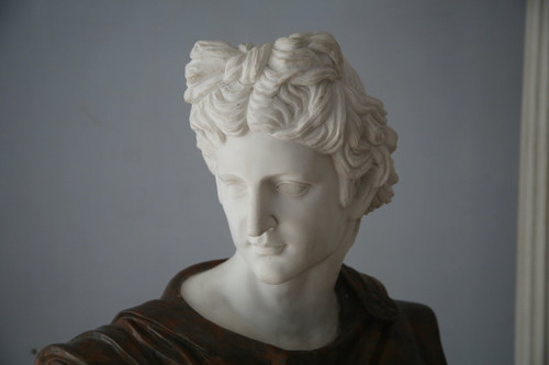Important bust of Apollo in marble sculpted after the Apollo of Belvedere, Italy 20th century