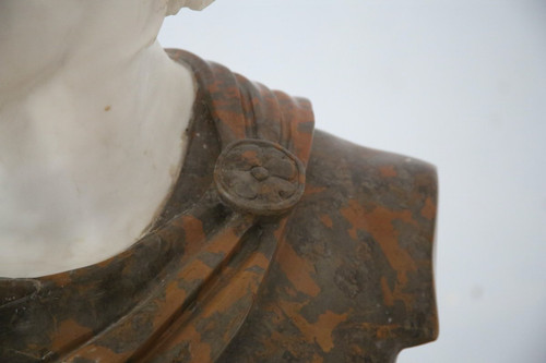 Important bust of Apollo in marble sculpted after the Apollo of Belvedere, Italy 20th century