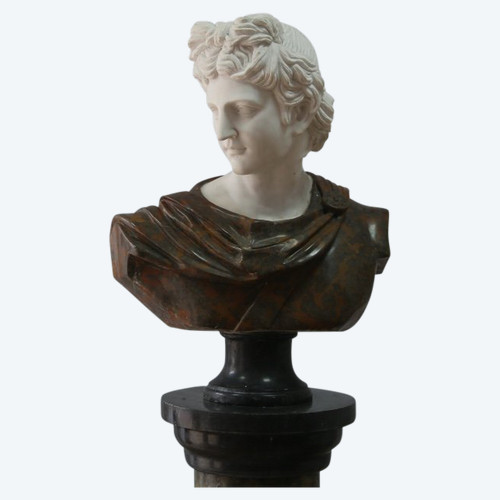 Important bust of Apollo in marble sculpted after the Apollo of Belvedere, Italy 20th century