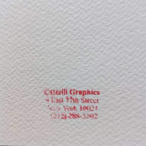 1980 Superb Original Roy Lichtenstein "Salute to Aviation Corlett 63" Limited Edition Lithograph
