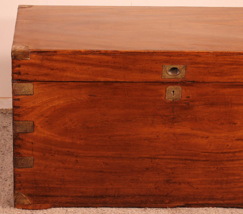 Grande Cassapanca Marina In Legno Di Canfora Del XIX Secolo