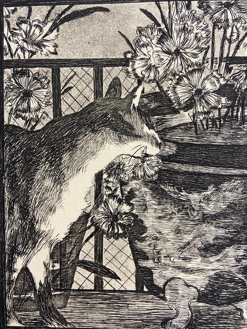 Edouard Manet (1832-1883) - Il gatto e i fiori, dal nostro amico gatto (1869) - Acquaforte