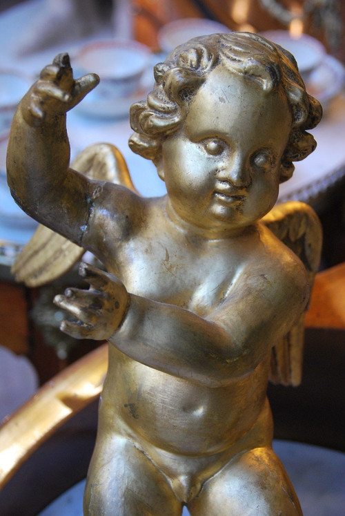 Pair In Golden Wood Italy XVIII