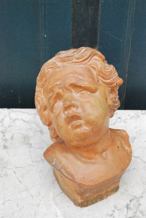 Testa Di Bambino In Terracotta Fiandre XVIII Secolo