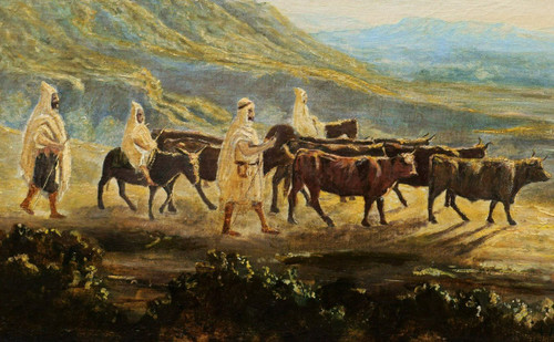 Albert PÉPIN, Vachers en Asie Centrale