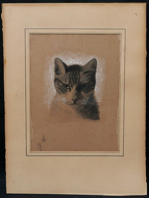 Attribué à Jules LAURENS, Tête de chat