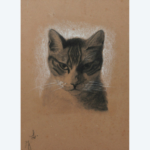 Attribué à Jules LAURENS, Tête de chat