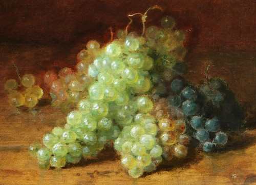 Amédée GENIN, Trauben