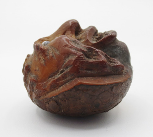 Marron d'Inde sculpté, XIXe siècle.