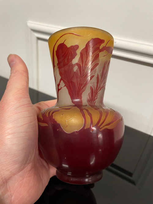 Etablissement Gallé - Vase Gallé Aux Algues Marines H: 14 Cm Epoque Art Nouveau