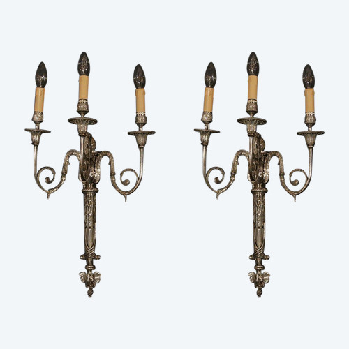 Pair of Appliques En Bronze Argenté, Louis XVI