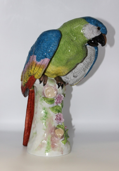 Perroquet En Porcelaine Dans Le Goût De Meissen XX 
