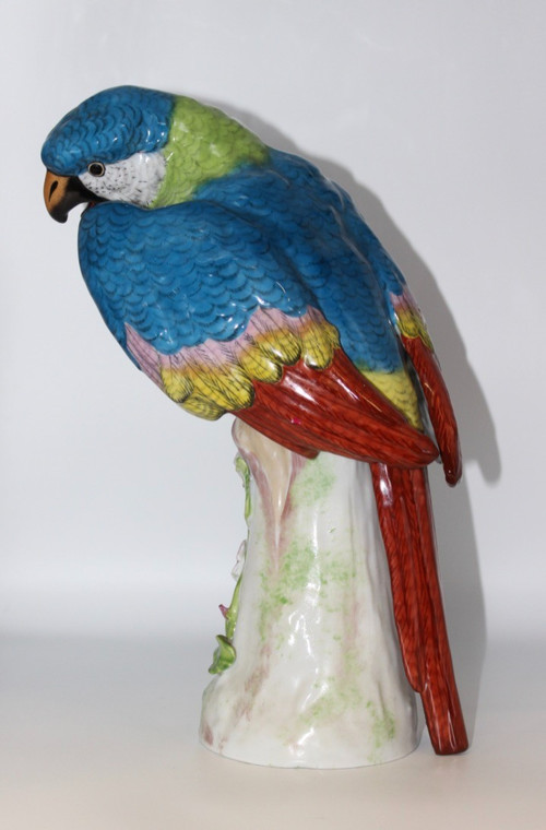 Perroquet En Porcelaine Dans Le Goût De Meissen XX 